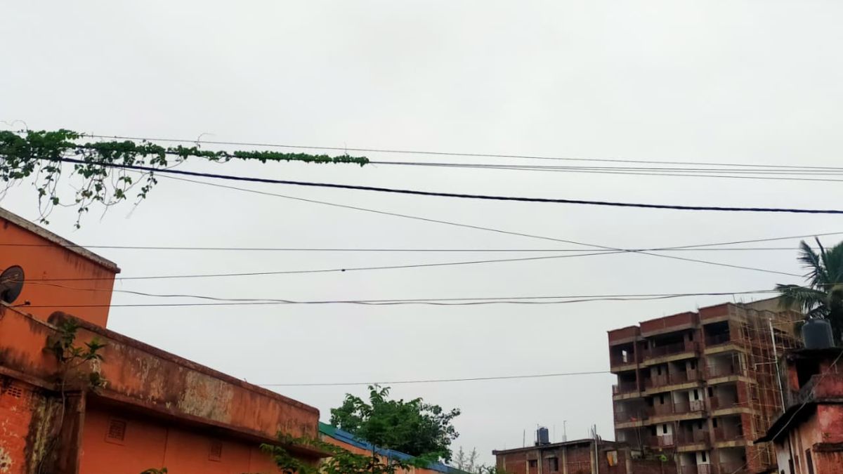 पूर्णिया में बादलों और पुरवैया ने बदला मौसम का मिजाज, अगले 48 घंटे में तेज बारिश के संकेत
