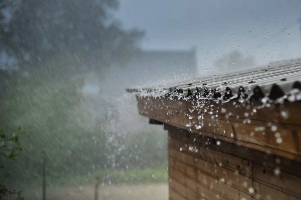 Sitamarhi Weather Update: सीतामढ़ी में आज 34 डिग्री रहेगा तापमान, जानें दिन का पूरा हाल