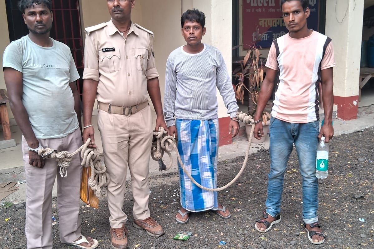 नरपतगंज पुलिस की बड़ी कामयाबी: ट्रांसफार्मर से तेल और हाईवे के वाहनों से डीजल चुराने वाले गिरोह के 3 शातिर दबोचे, 420 लीटर तेल बरामद