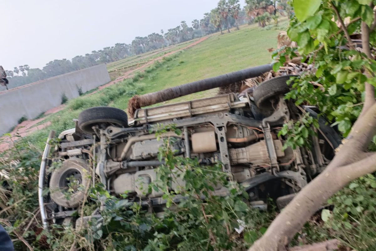 शेखपुरा में ट्रक ने दिया चकमा, स्कॉर्पियो पेड़ से टकराई, भाजपा नेता समेत तीन घायल