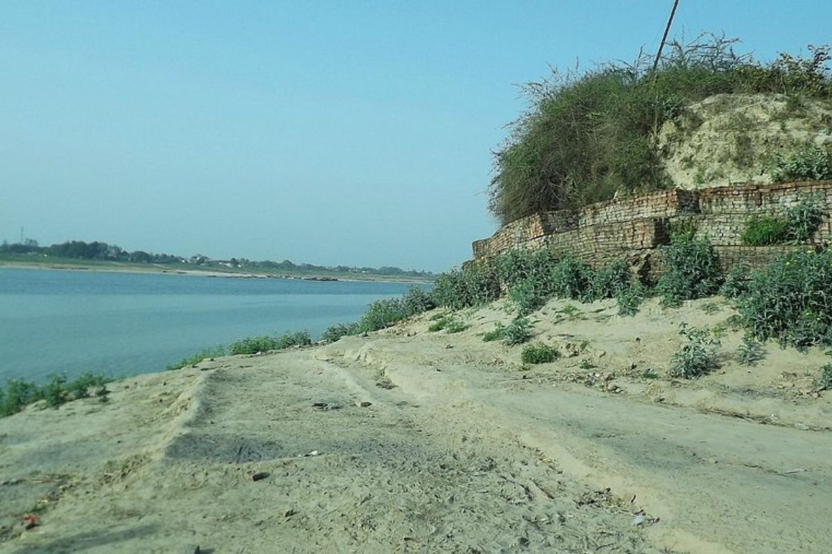 Buxar News : सड़क बनाने के नाम पर 11 हजार से ज्यादा पेड़ों की हुई कटाई, कैसे बनेगा विकास और पर्यावरण के बीच संतुलन?