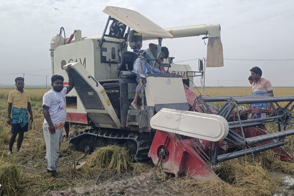 किसानों पर दोहरी मार: बेमौसम बारिश से धान की फसल बर्बाद, रात में असामाजिक तत्वों ने कटाई मशीन को किया क्षतिग्रस्त