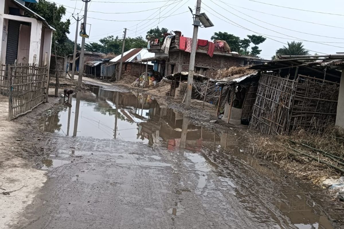 पलासी में बारिश ने खोली सड़कों की पोल, गड्ढों में जलजमाव से लोग हो रहे हादसों के शिकार, नाला न होने से महामारी का खतरा