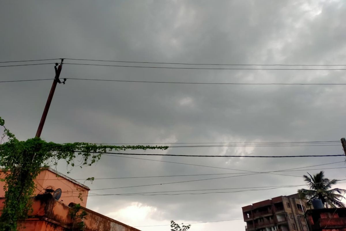 पूर्णिया में झमाझम बारिश से मौसम हुआ सुहावना, IMD ने जारी किया येलो अलर्ट; बाहर निकलने से पहले देख लें अपडेट