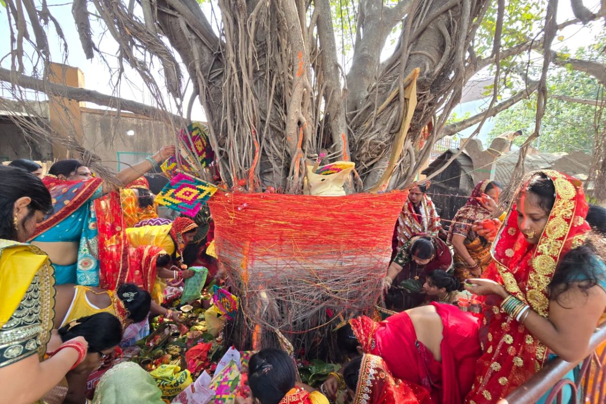 हाजीपुर समेत जिले भर में वट वृक्ष की धूम, श्रद्धा के साथ उमड़ी महिलाओं की भीड़; जगह-जगह हुई पूजा-अर्चना