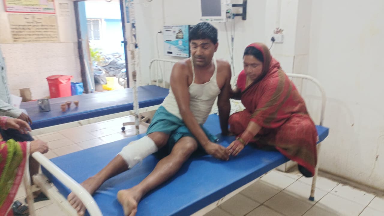 महौता गांव में कटखने बंदर का आतंक: दस दिनों में दर्जनों घायल, ग्रामीणों ने रेस्क्यू की मांग की