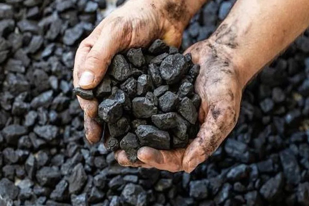 बिहार में कोयला विक्रेता बनने का बड़ा मौका, कॉर्पोरेशन ने जिलावार मांगे आवेदन