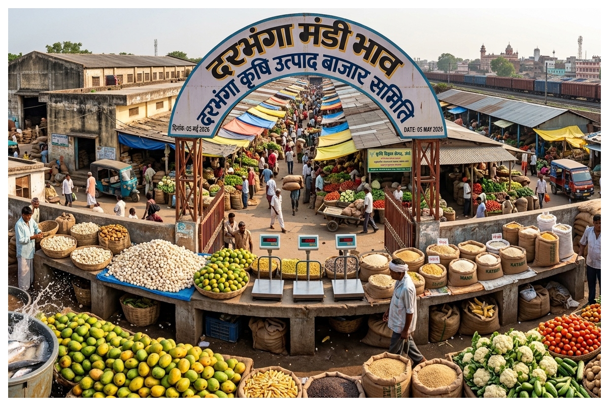 Darbhanga Mandi Bhav: शिवधारा मंडी में बासमती चावल 127 और आटा 38 रुपये किलो, देखें पूरी सूची