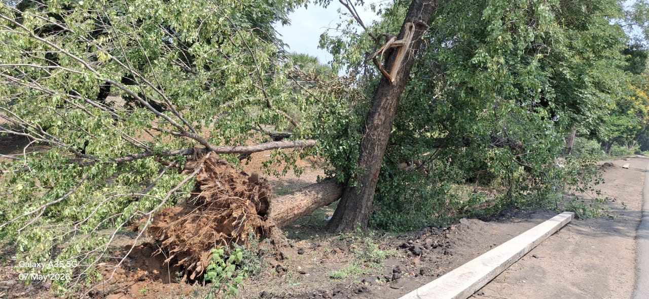 आंधी और बारिश से तपाती गर्मी से मिली राहत, मौसम हुआ सुहाना