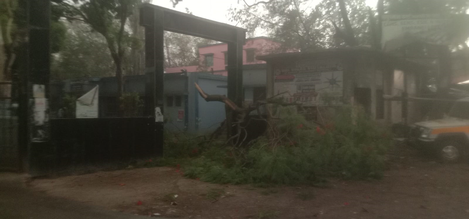 तेज आंधी से गिरी पेड़ की डाली, आवागमन रुका