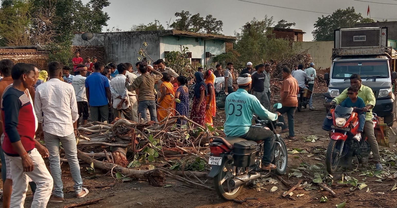 Bokaro News : पेड़ की टहनियां हटाने को लेकर सड़क जाम