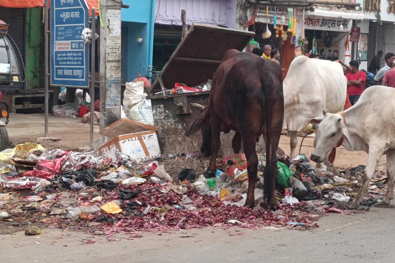 सफाईकर्मियों की हड़ताल से नगर क्षेत्र में कूड़े का अंबार