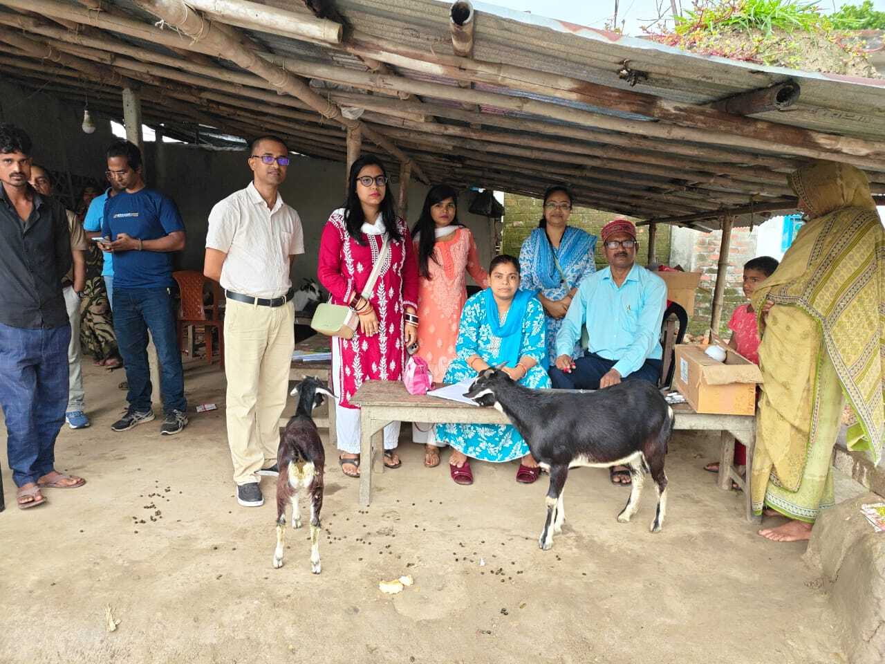 पशु चिकित्सा शिविर में 115 पशुओं का हुआ उपचार