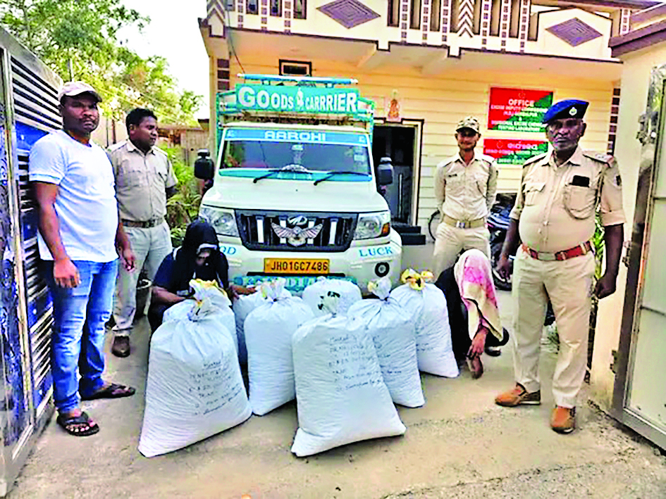 Sambalpur News: शहर का प्रतिष्ठित व्यवसायी गिरफ्तार, एक क्विंटल गांजा जब्त