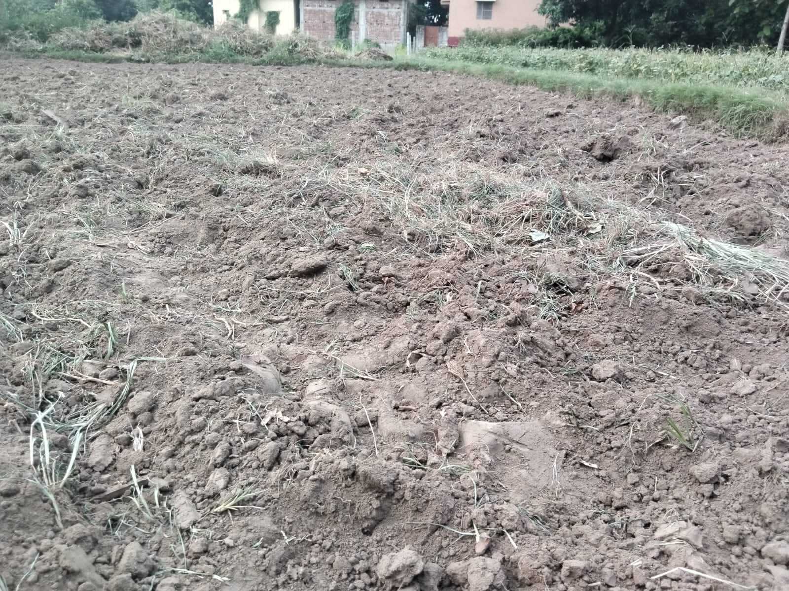 खरीफ की तैयारी में जुटे किसान