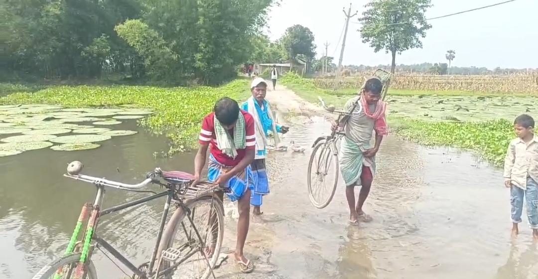 बैरगाछी से लकरियापार सोसा सड़क पर पानी आने से आवगामन प्रभावित
