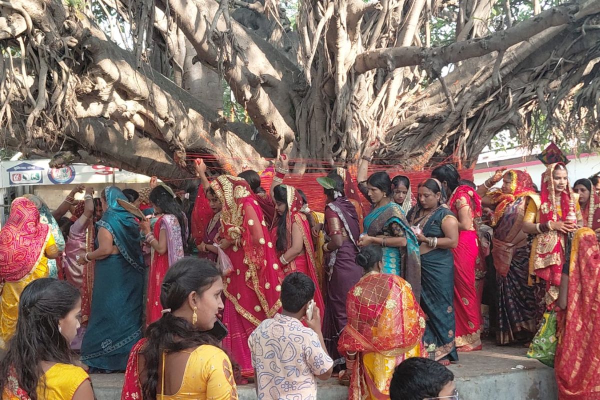 पति की लंबी उम्र के लिए महिलाओं ने रखा व्रत, फतुहा और दनियावां में वट वृक्ष के पास उमड़ी श्रद्धा