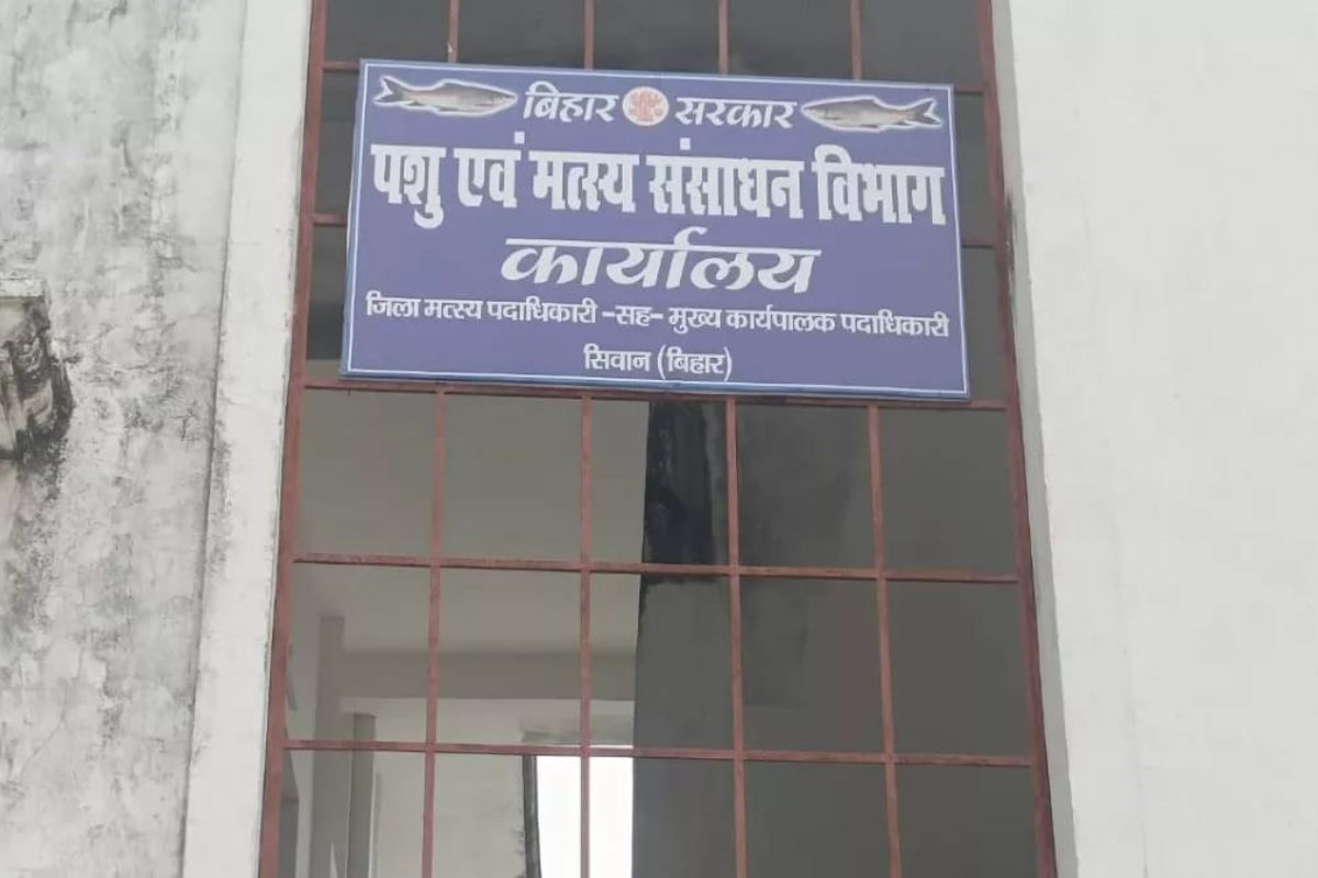 सीवान में मोती एवं झींगा पालन के लिए मिलेंगे 60 प्रतिशत अनुदान, जानिए कैसे लें लाभ