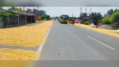 एनएच 80 बना मकई सुखाने का खलिहान, किसानों की मनमानी से राहगीरों की जान जोखिम में