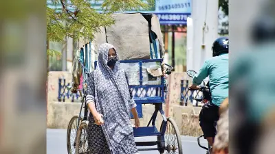 Gaya News. जानिए…आज मौसम व शहर में जाम की कैसी रहेगी स्थिति, अफसर किन मुद्दों पर करेंगे मंथन