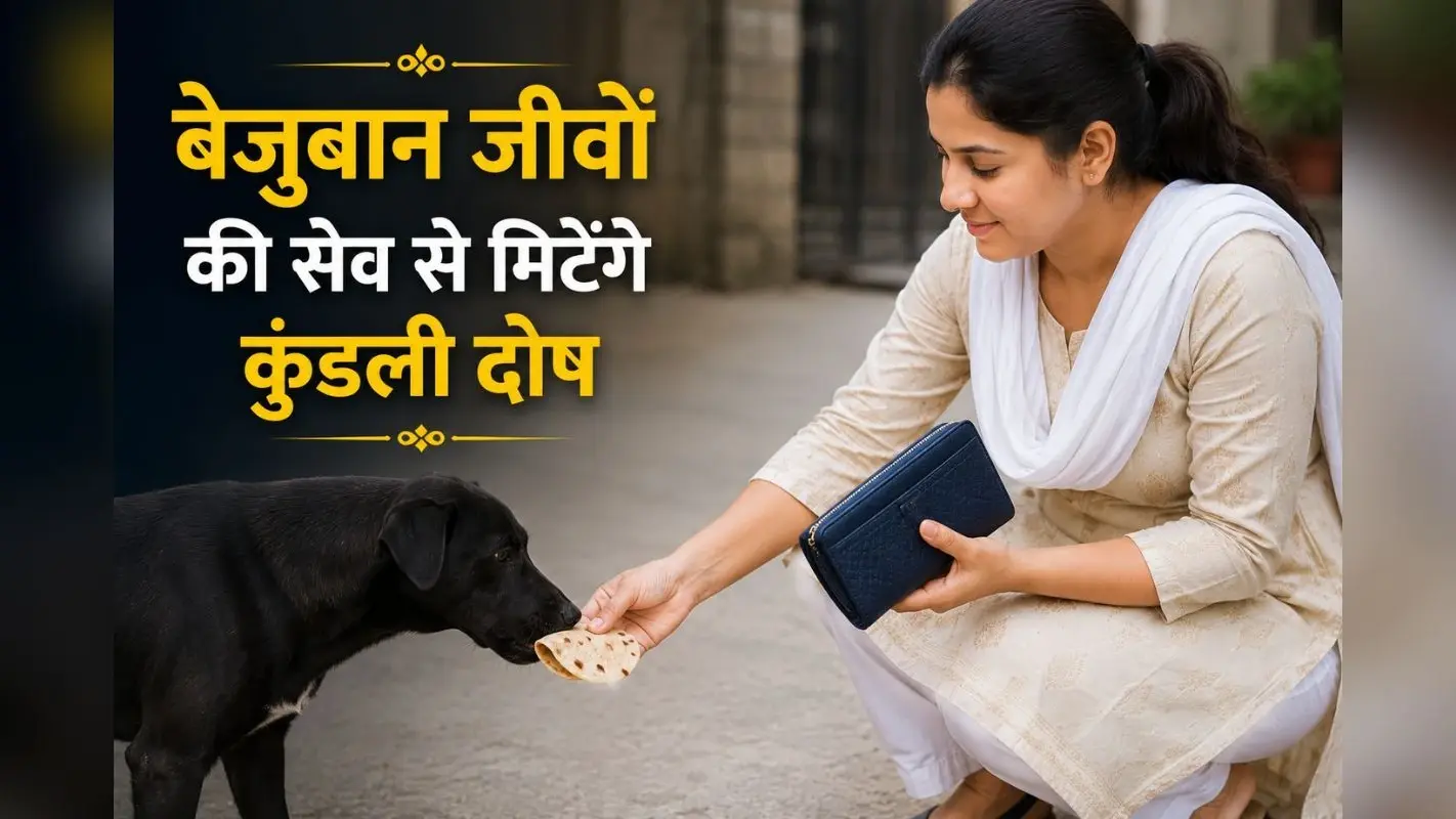 बेजुबान जीवों की सेवा से शांत होते हैं ग्रह दोष