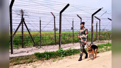 शुभेंदु अधिकारी ने गौ-तस्करी पर कस दिया शिकंजा, पहली कैबिनेट में लिया बड़ा फैसला