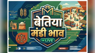 Bettiah Mandi Bhav: बेतिया बाजार समिति में गेहूं-धान और आटा के थोक दाम जारी, चेक करें आज के रेट्स