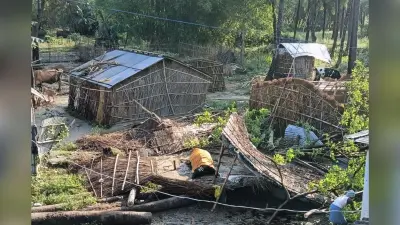 बेगूसराय में तूफान ने मचाया कहर, घर गिरा बेजुबान की गई जान