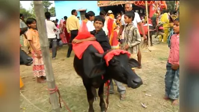 नेपाल सीमा से बंगाल में घुसपैठ की कोशिश, एसएसबी ने थाईलैंड की दो लड़की समेत चार को पकड़ा
