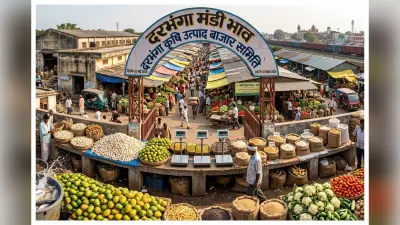 Darbhanga Mandi Bhav: बासमती चावल, अरहर दाल और सरसों तेल की कीमतों में बदलाव, देखें आज का ताजा भाव