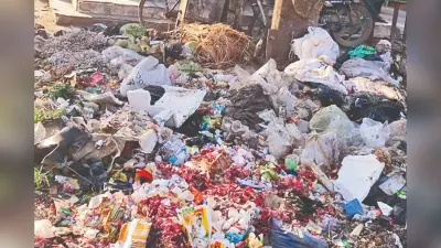 गया जी : सफाई कर्मियों की हड़ताल पर विधानसभा अध्यक्ष प्रेम कुमार ने मंत्री नीतीश मिश्रा से की बात, जल्द समाधान की मांग