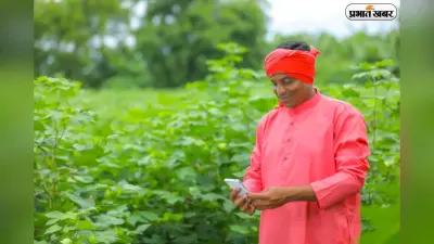 अब बिना धक्का-मुक्की के मिलेगी किसानों को खाद, MP में शुरू हुआ ये स्मार्ट सिस्टम