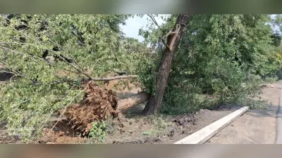 आंधी और बारिश से तपाती गर्मी से मिली राहत, मौसम हुआ सुहाना