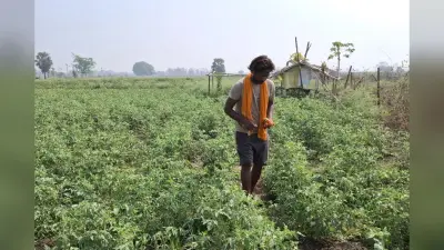 किराए की जमीन पर 30 लाख की खेती, आरा के युवा किसानों के लिए बने मिसाल