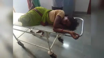 हादसों में तीन की मौत व महिला घायल