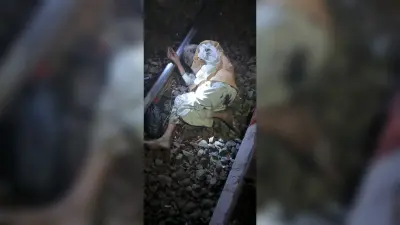 Bhagalpur news चलती ट्रेन से उतरने के दौरान वृद्ध गिरा, रेफर