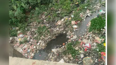 रोहतास में सफाई व्यवस्था फेल: कचरे के अंबार से घिरा सोन नहर, बीमारी के खतरे से सहमे लोग