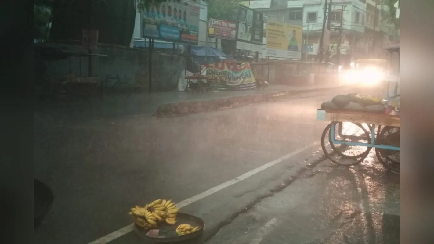 गया में तेज आंधी बारिश से भारी तबाही, पेड़ों की टहनियां-बिजली के तार टूटे, वज्रपात में एक की मौत