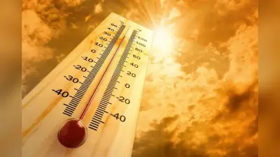 Kaimur Diary: जानें कैमूर में मंडी का भाव, ओपीडी में कौन होंगे डॉक्टर, शहर में कहां क्या, मौसम का हाल