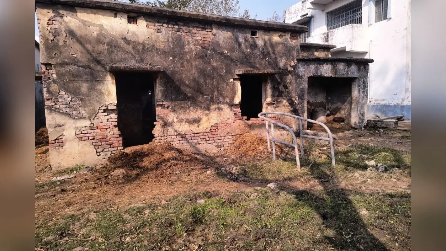 रोहतास में पशु चिकित्सालय की बदहाली, जर्जर भवन में हो रहा इलाज; मरम्मत का इंतजार