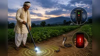 किसानों के लिए सरकार लायी जादू की छड़ी, खेत-खलिहान में सांप-बिच्छू से करेगी अलर्ट