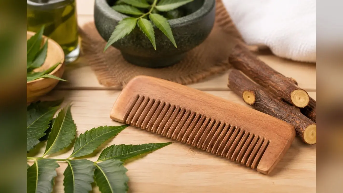 Hair Care Tips: बाल झड़ने और डैंड्रफ से हैं परेशान? कंघी बदलते ही दिखेगा बड़ा फर्क, जानिए नीम की लकड़ी वाली कंघी के फायदे