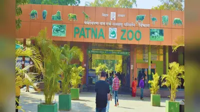 पटना जू में बढ़ेगा रोमांच, सफेद बाघिन के साथ आए कई नए मेहमान