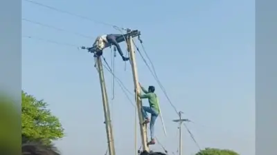 बक्सर में भीषण गर्मी से सूखी नदियां, वन्यजीवों पर संकट गहराया