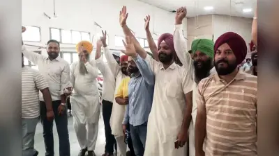 पंजाब निकाय चुनाव में चला AAP का जादू, 690 से अधिक वार्ड पर जीत, पार्टी मना रही जश्न