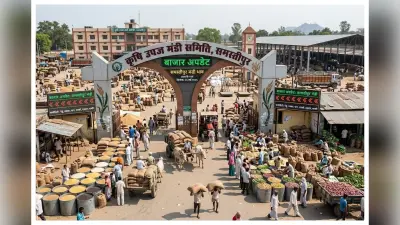 Samastipur Mandi Bhav: आज क्या हैं अनाज और तेल के दाम? देखें कतरनी चावल और दालों की पूरी रेट लिस्ट