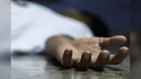 जहरीले सांप ने दो भाइयों को डंसा, एक की मौत, दूसरे का इलाज जारी