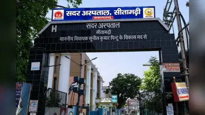 Sitamarhi Sadar Hospital: शुक्रवार को कौन से डॉक्टर बैठेंगे? शेड्यूल देखें