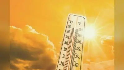 Siwan Diary: जानें जिले में आज का दर्शन, ओपीडी में कौन होंगे डॉक्टर, कैसा रहेगा मौसम