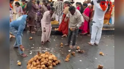 Video : 116 नारियल फोड़कर टीवीके प्रमुख विजय की जीत का जश्न, देखें खास सेलिब्रेशन का वीडियो